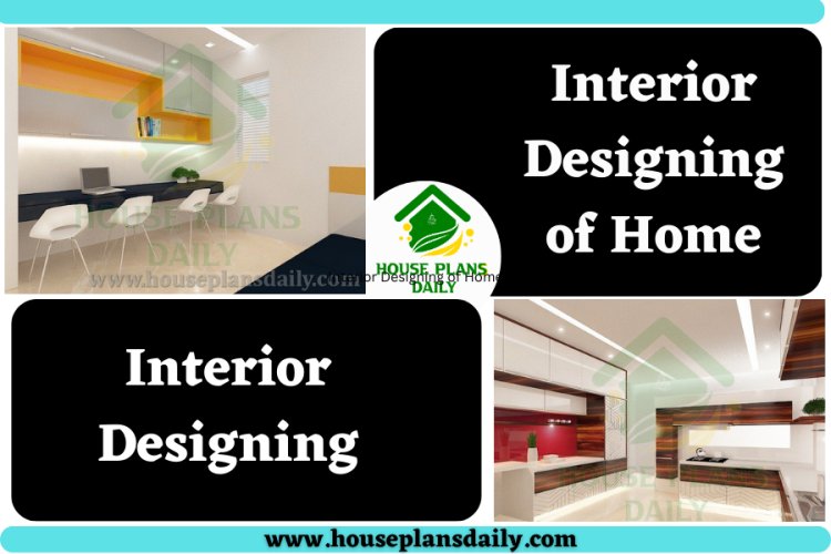 Interior Designing of Home | Interior Designing